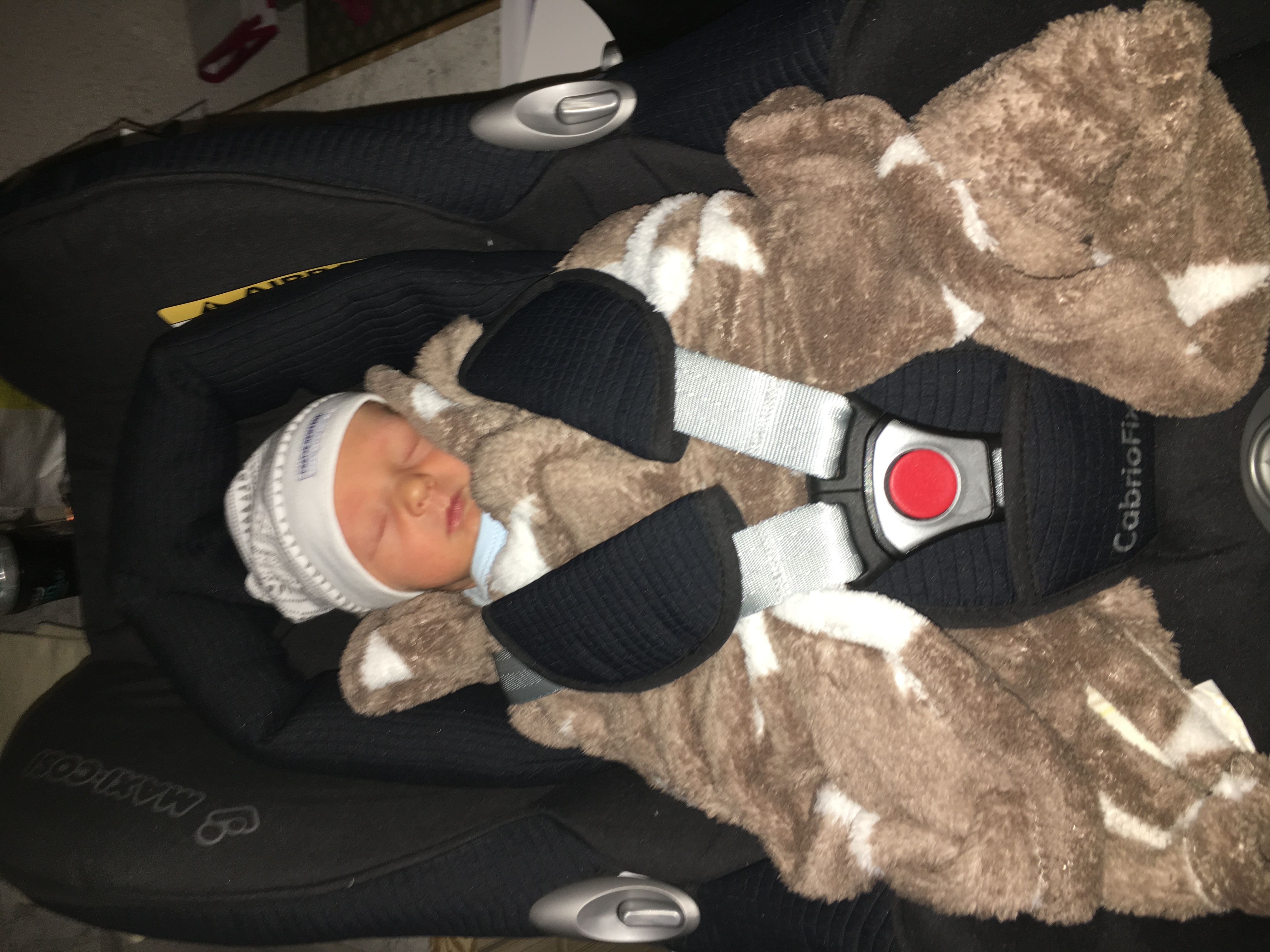 Foto 21.09.16, 12 34 11