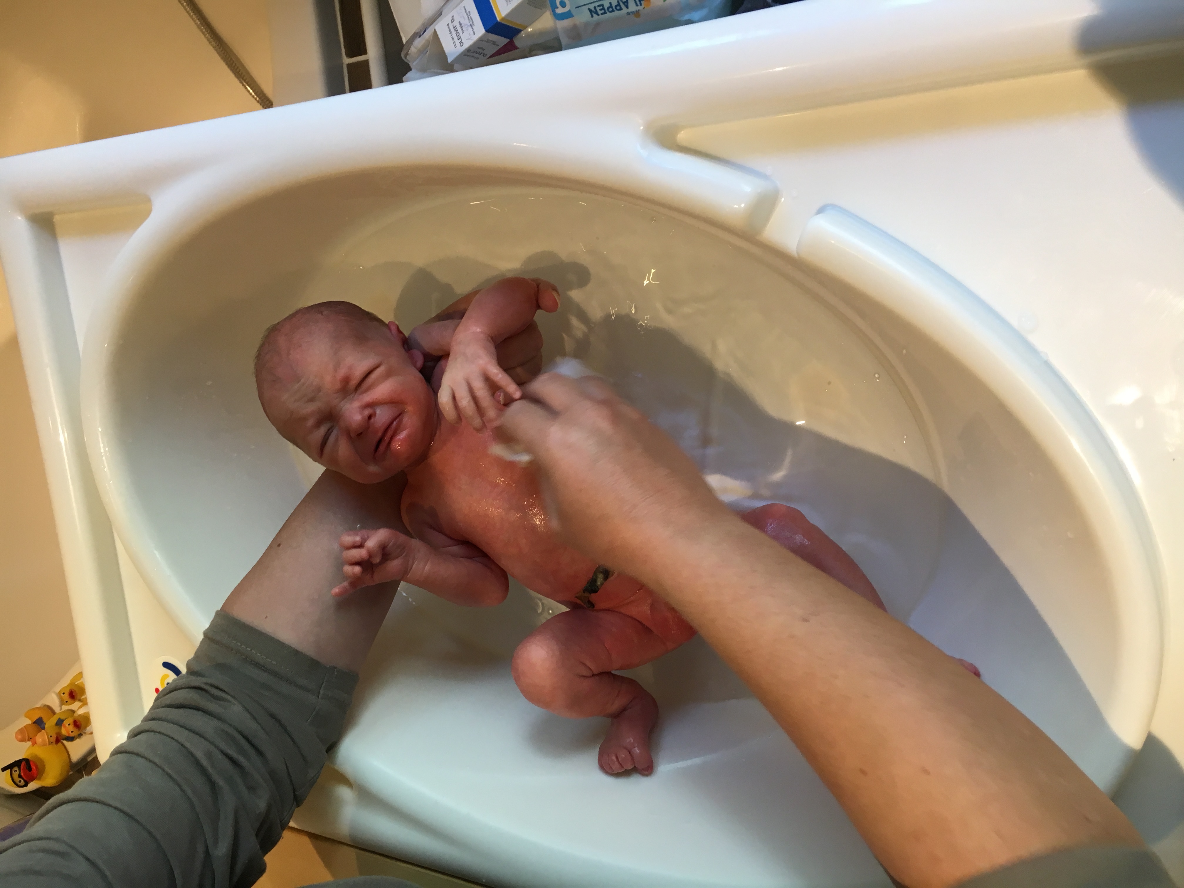 Foto 25.09.16, 11 18 34